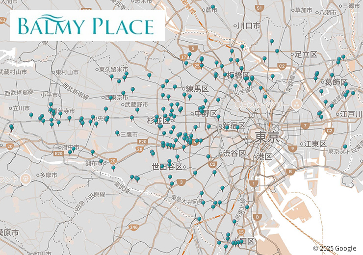 バーミープレイス供給実績